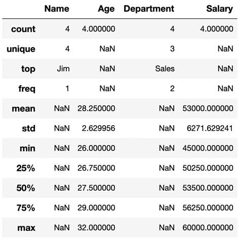 pandas dataframe describe|More.